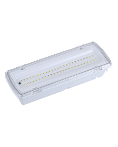 LED-EME-507L50-AC220-24V-4.4W-4000K-400lm-IP65-Non Maintained